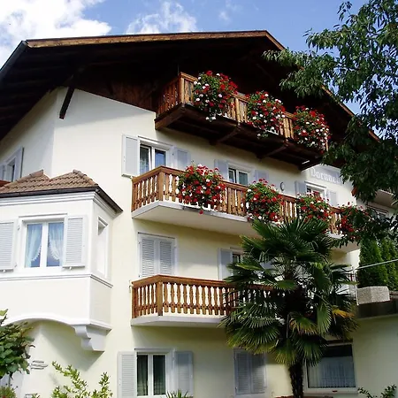 Dornach 3*