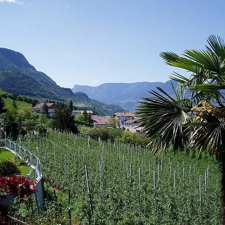 Dornach Schenna